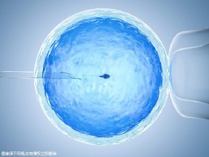 安孕冻胚移植专科
